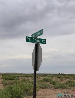 /international/us/1384-rat-camp-road-lake-arthur-nm-110099333549/?lang=zh-tw