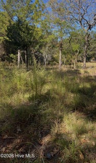 /international/us/1072-river-drive-sw-lot-19-calabash-nc-110120419346/