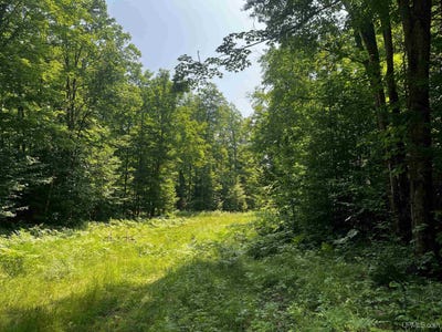 /international/us/20-acres-brown-deer-big-bay-mi-110101215277/?lang=zh-cn
