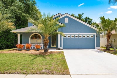 /international/us/420-cypress-view-drive-oldsmar-fl-110107842474/