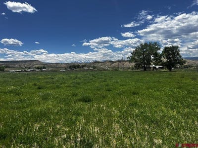 /international/us/tbd-racine-road-montrose-co-110100891960/