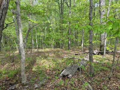 /international/us/lt-8-10-lakefront-drive-clarksville-va-110107382618/