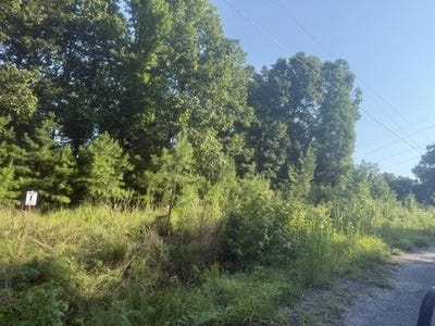 /international/us/tract-1-belew-hollow-hill-rd-waynesboro-tn-110109661326/