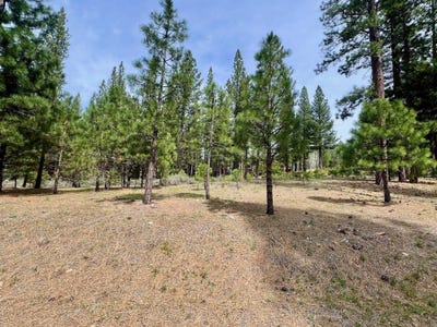 /international/us/153-saddle-ridge-road-lot-5-clio-ca-110107058445/