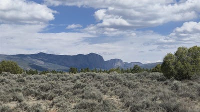 /international/us/county-rd-339a-los-ojos-nm-110107700565/
