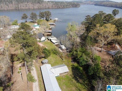 /international/us/66-county-road-705-verbena-al-110100048000/?lang=zh-cn