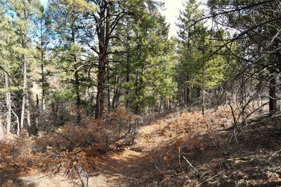 /international/us/00-bear-rd-cr-322-tierra-amarilla-nm-110097352588/