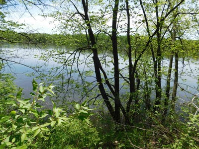 /international/us/24319-highway-60-lot-3334-4021-muscoda-wi-110091844689/