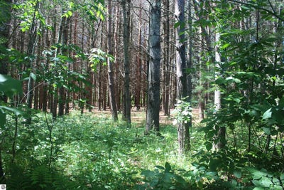 /international/us/stone-circle-drive-kewadin-mi-110109003607/