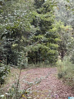 /international/us/dearmanville-road-lot-0-anniston-al-110110374835/