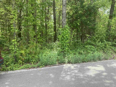 /international/us/144-elm-street-pineville-ar-110107616396/