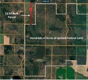 /international/us/6539-e-madison-road-walkerville-mi-110120018763/