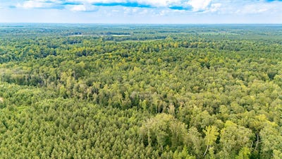 /international/us/10-88-ac-beech-creek-road-gloucester-county-va-110101193806/?lang=it