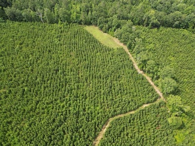 /international/us/590-county-road-204-ariton-al-110107537287/