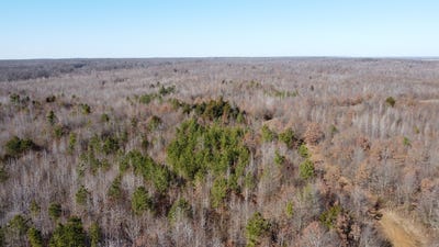 /international/us/sfc-744-forrest-city-ar-110120112720/