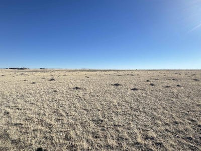 /international/us/desert-wine-ct-medicine-bow-wy-110096170182/