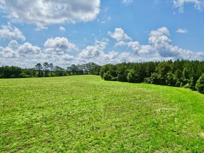 /international/us/1217-us-hwy-231-brundidge-al-110104779065/