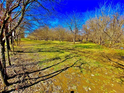 /international/us/9507-county-road-513-alvarado-tx-110120120633/