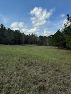 /international/us/county-road-33-louisville-al-110106311033/