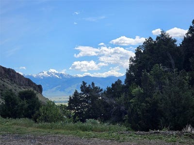 /international/us/27-leo-emigrant-mt-110108470415/