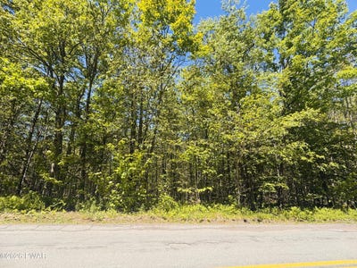 /international/us/pleasant-mount-drive-forest-city-pa-110107995500/