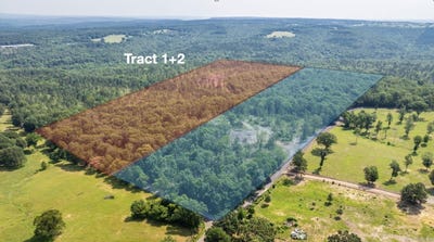 /international/us/tract-10-harmony-mountain-road-clinton-ar-110099800622/
