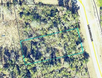 /international/us/0000-lake-carroll-drive-donalsonville-ga-110100264518/
