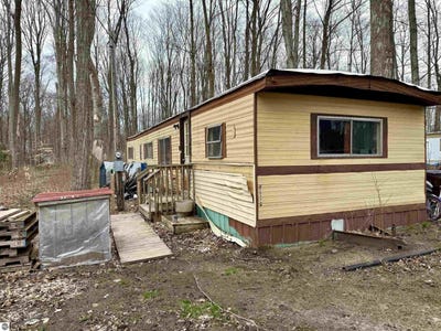 /international/us/4604-luanne-lane-traverse-city-mi-110099024821/