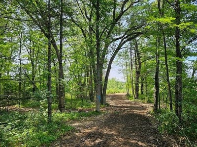 /international/us/1-hwy-64-sand-creek-wi-110095384387/