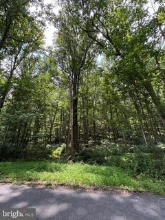 /international/us/bear-branch-road-westminster-md-110101521740/?lang=en