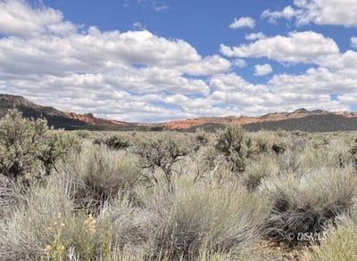 /international/us/4323-s-scenic-dr-panguitch-ut-110108205650/