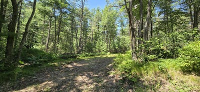 /international/us/5-ac-w-maplehurst-drive-roscommon-mi-110109194886/