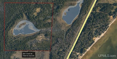 /international/us/tbd-state-hwy-35-bark-river-mi-110101215219/?lang=zh-cn