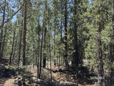 /international/us/gabriel-court-crescent-lake-or-110100527529/
