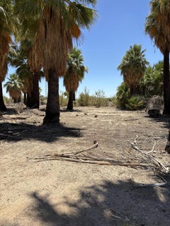/international/us/51-w-4th-st-niland-ca-110101635549/