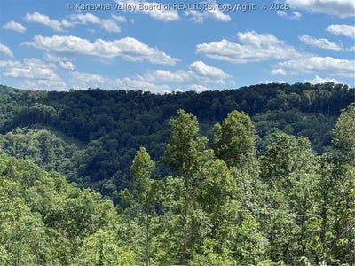 /international/us/n-elk-river-road-clendenin-wv-110108955644/