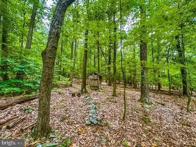 /international/us/rum-springs-rd-myersville-md-110107988258/