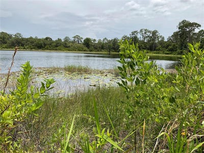/international/us/tbd-lot-58-malauka-radial-trail-ocklawaha-fl-110100327656/?lang=zh-cn
