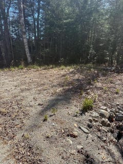 /international/us/route-1-gouldsboro-me-110107378572/