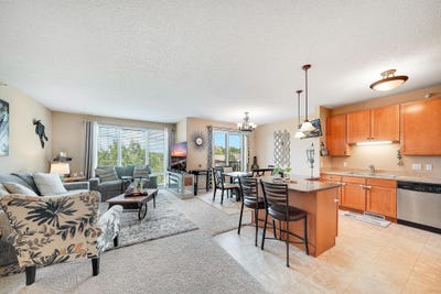/international/us/1070-grandview-court-ne-columbia-heights-mn-110108384415/