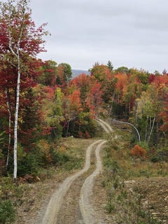 /international/us/woods-road-lot-4-phillips-me-110101140856/