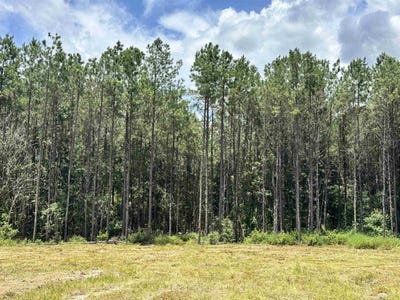 /international/us/tbd-county-road-4210-woodville-tx-110100771606/?lang=zh-tw