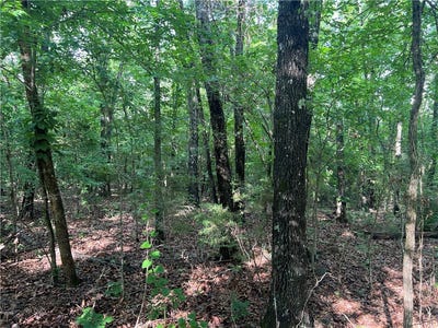 /international/us/grassy-gap-road-lot-0-harrison-ar-110108415994/