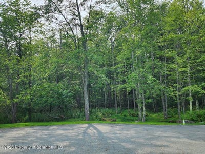 /international/us/greenbriar-spring-brook-twp-pa-110101360924/?lang=zh-cn