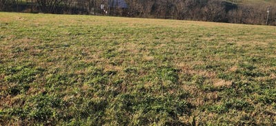 /international/us/7370-energy-road-ewing-ky-110101065044/
