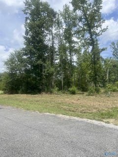 /international/us/2-acres-indian-springs-road-glencoe-al-110101401749/?lang=zh-tw