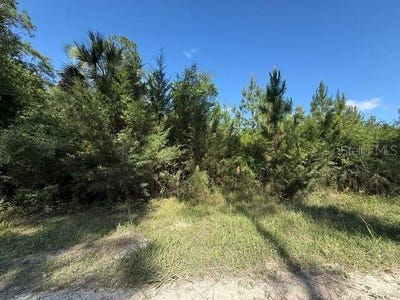 /international/us/county-road-75-bunnell-fl-110108253242/