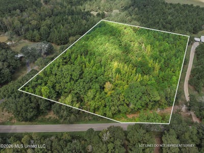 /international/us/purvis-to-baxterville-road-purvis-ms-110120451414/