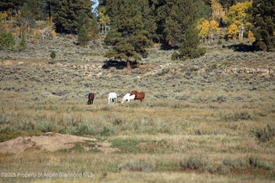 /international/us/tbd-divide-road-whitewater-co-110101260369/?lang=zh-tw