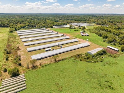 /international/us/pid-148086-cr-2604-alto-tx-110110168318/